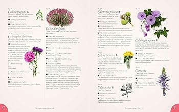 The Complete Language of Flowers: A Definitive and